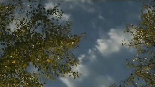 明星真强实干演绎性交射精口交群交奸杀所有演员全裸基情上阵90分GV级别大尺度剧情