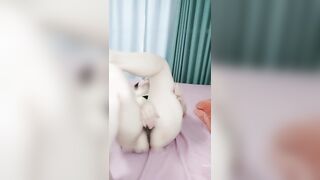 性感与JJ好可爱咪咪鼓鼓的还在发育中下海捞钱